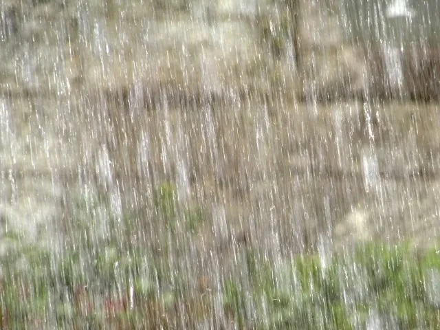雨量によって雨漏りの被害は変わる？